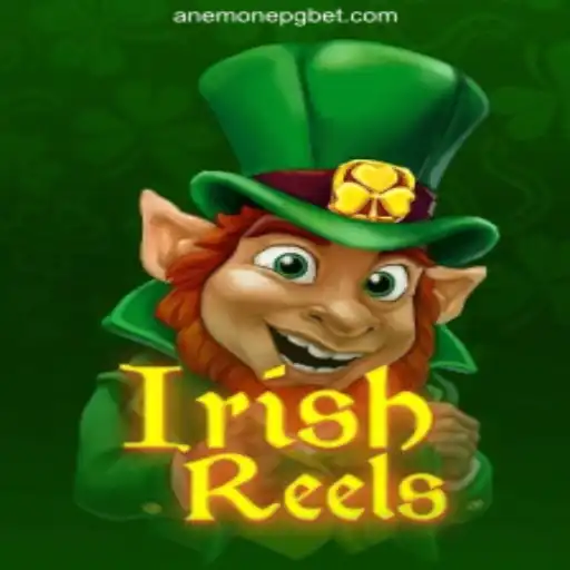 Exploring the Excitement of IrishReels